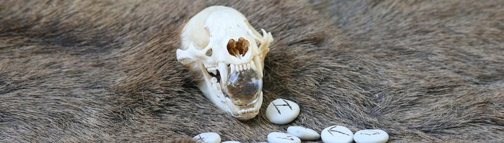 blog 3
