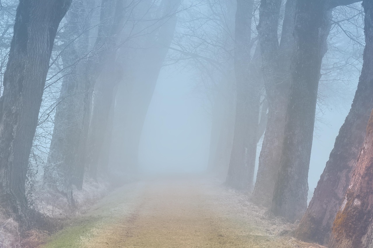 Writing the Quiet Apocalypse
