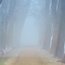 popular-post
