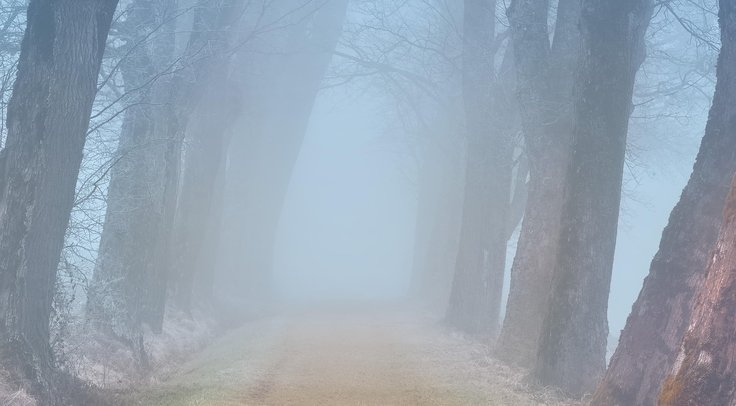 blog 4